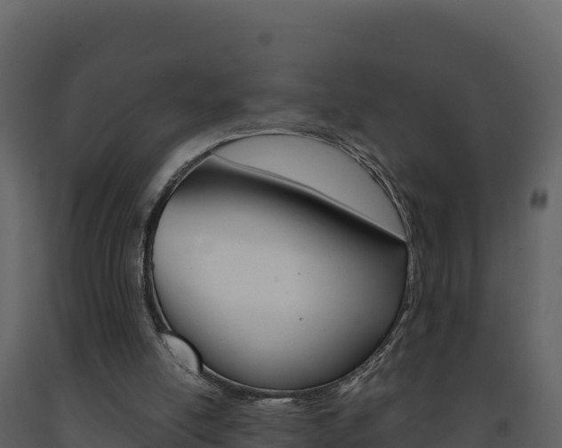 X0000091720054200708241029