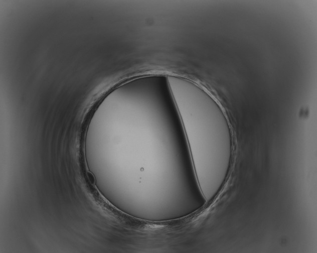 X0000091720055200708241029