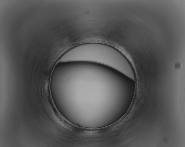 X0000091720057200708241029
