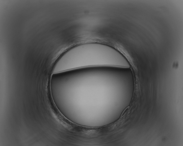 X0000091720058200708241029