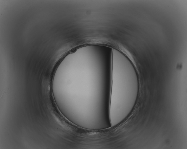 X0000091720059200708241029
