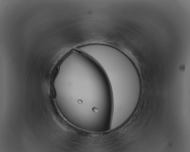 X0000091720060200708241029