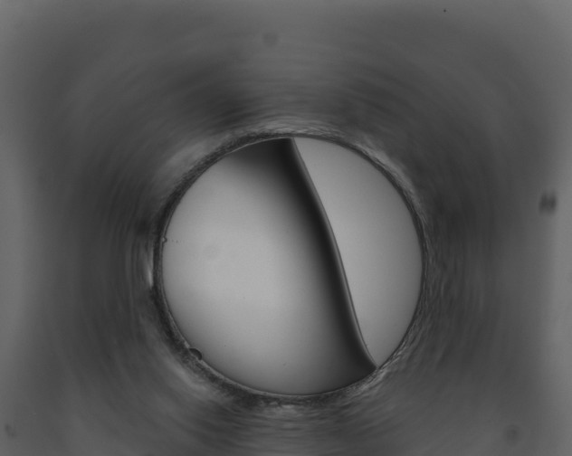 X0000091720062200708241029