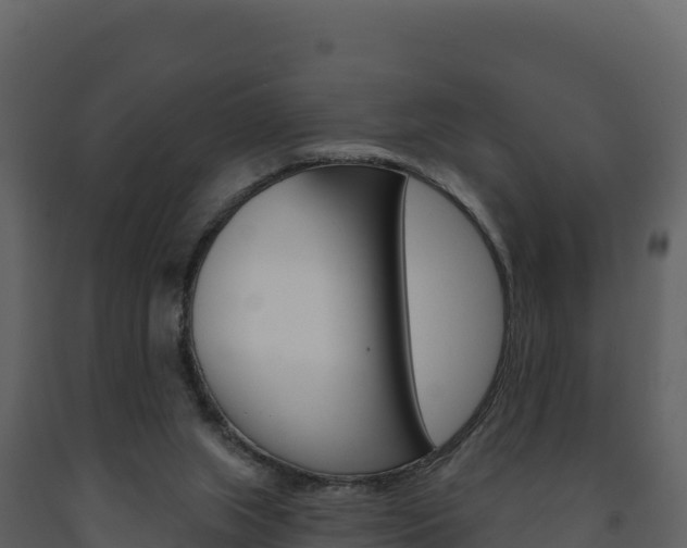 X0000091720063200708241029