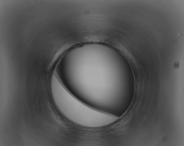 X0000091720064200708241029