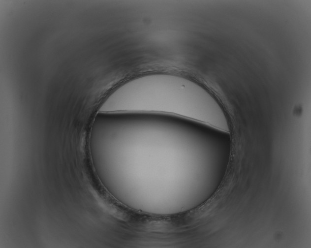 X0000091720066200708241029