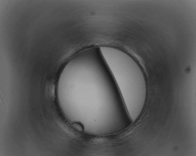 X0000091720067200708241030