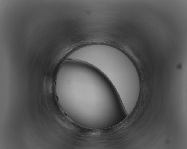 X0000091720068200708241030
