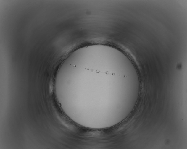 X0000091720069200708241030