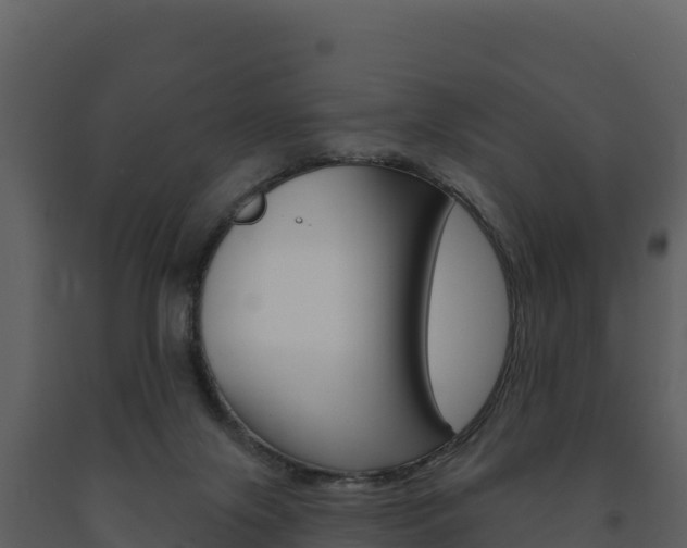 X0000091720071200708241030