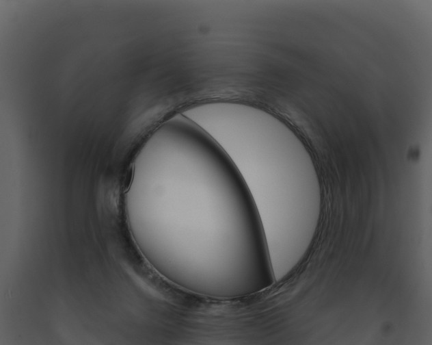 X0000091720072200708241030