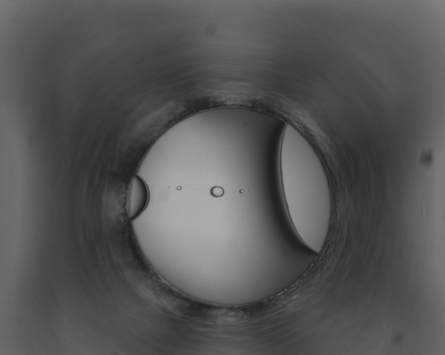 X0000091720073200708241030