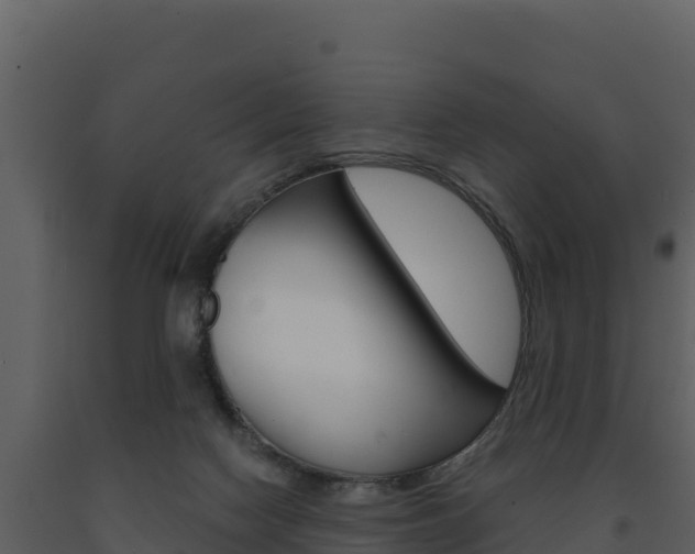 X0000091720074200708241030