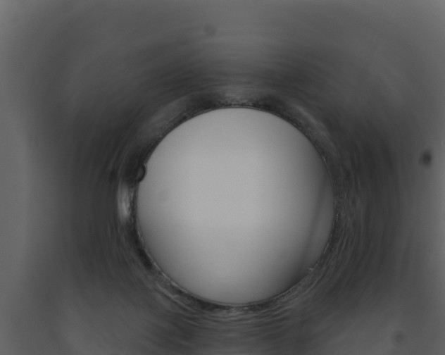 X0000091720075200708241030