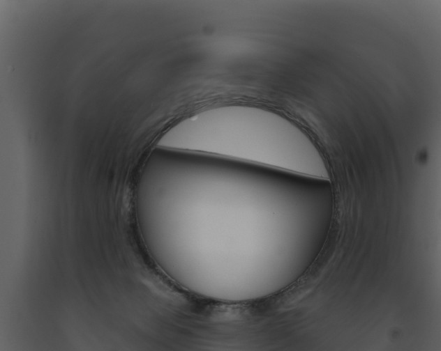 X0000091720077200708241030