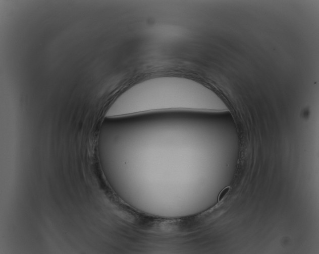 X0000091720078200708241030