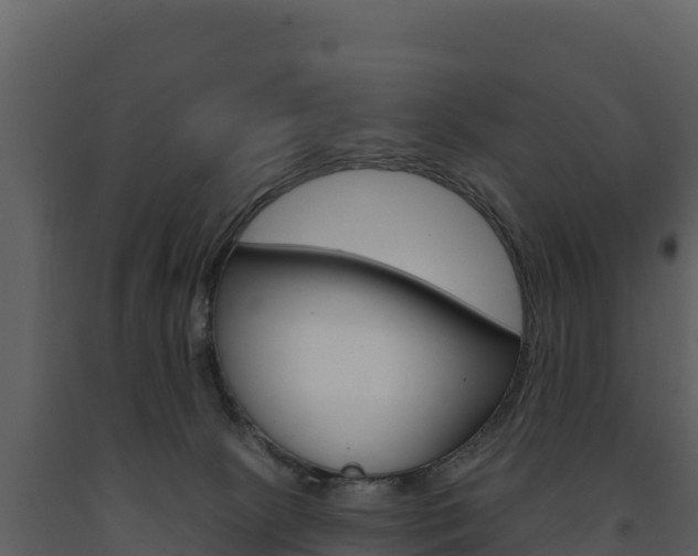 X0000091720081200708241030