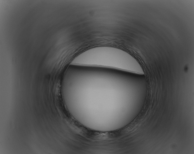 X0000091720083200708241030