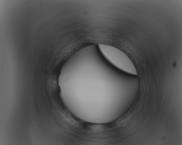 X0000091720085200708241030
