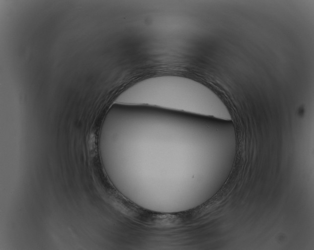 X0000091720087200708241030