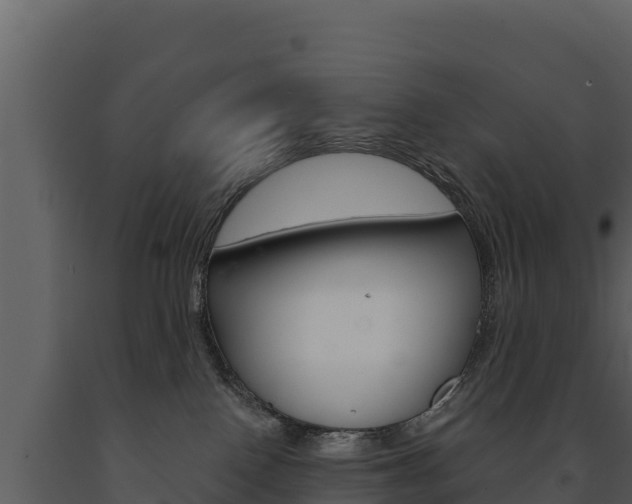 X0000091720090200708241030