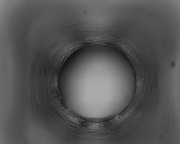 X0000091720096200708241030