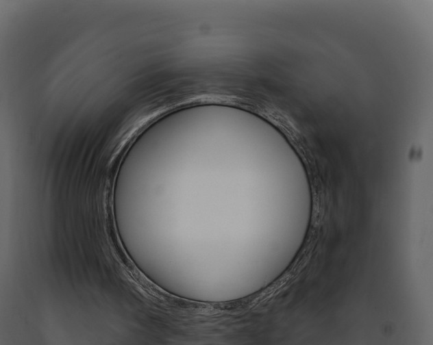 X0000091720098200708241029