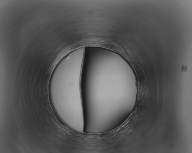 X0000091720099200708241029