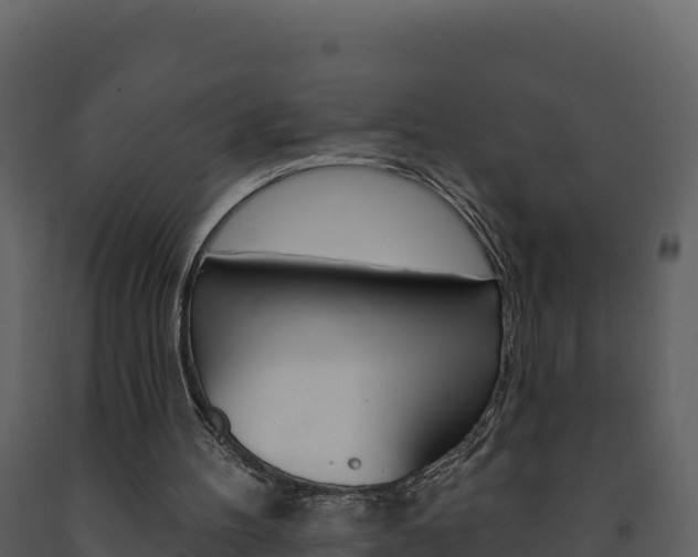 X0000091720100200708241029