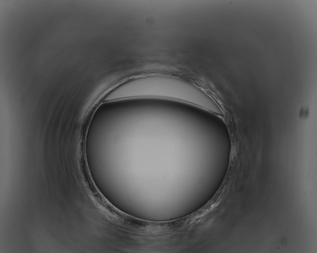 X0000091720101200708241029