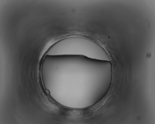 X0000091720102200708241029