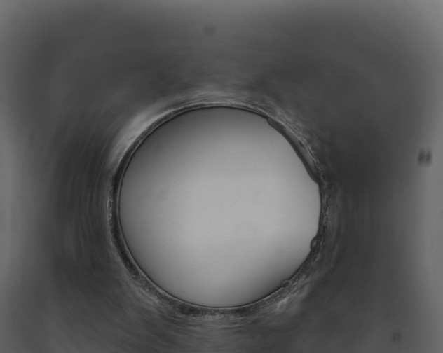 X0000091720103200708241029