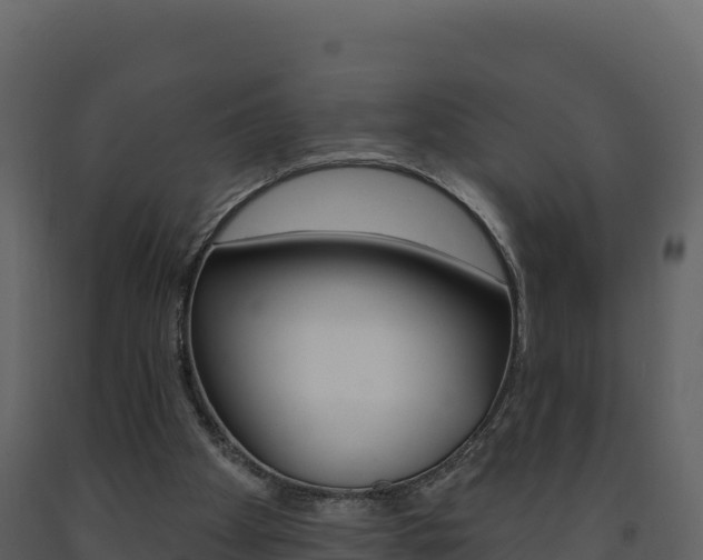 X0000091720105200708241029
