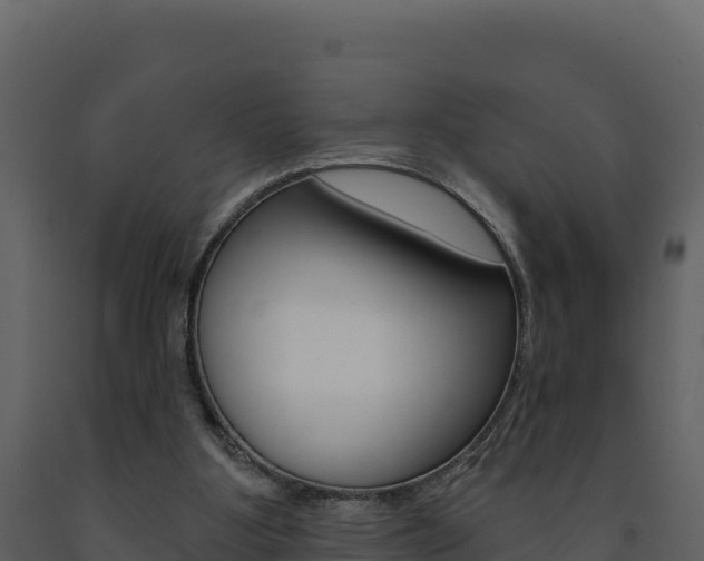 X0000091720107200708241029