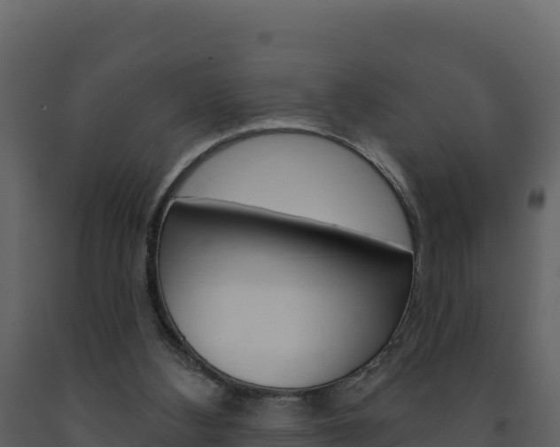 X0000091720108200708241029