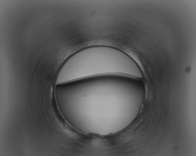 X0000091720109200708241029