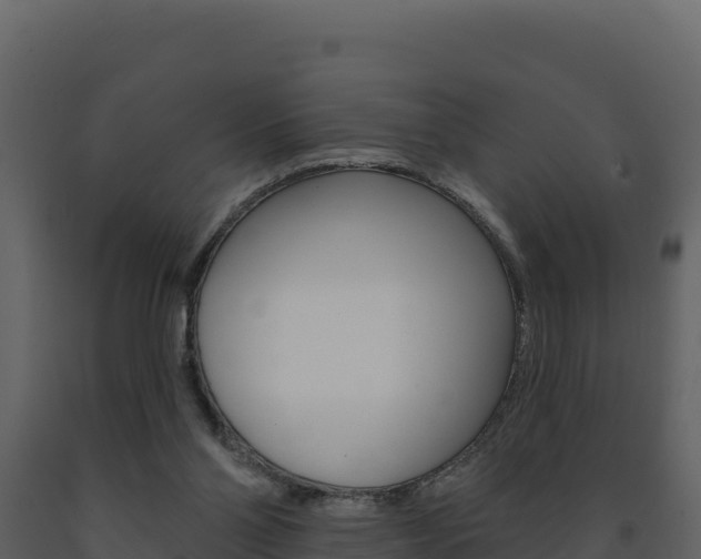 X0000091720110200708241029