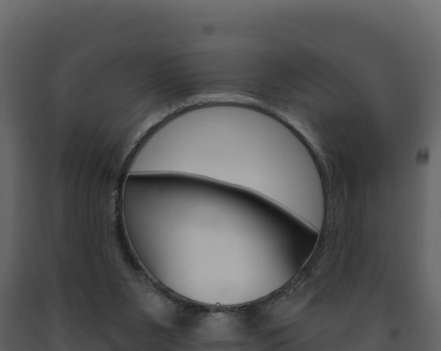 X0000091720111200708241029