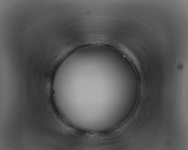 X0000091720113200708241029