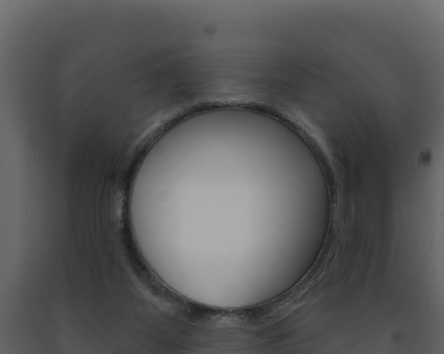 X0000091720115200708241029