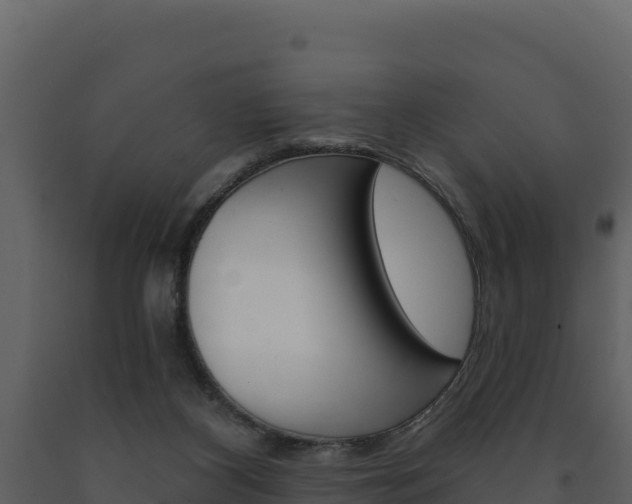 X0000091720116200708241029