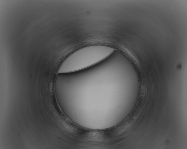 X0000091720117200708241029