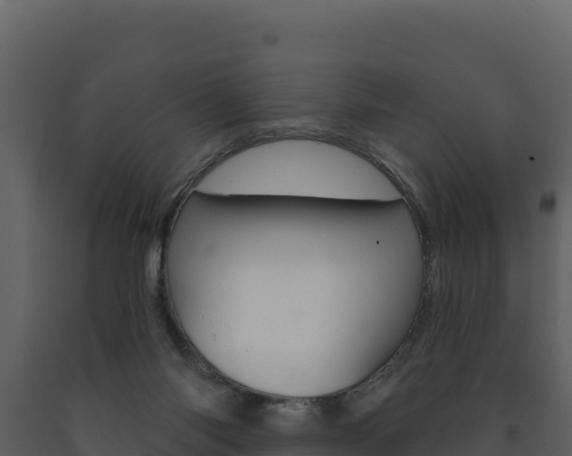 X0000091720118200708241029