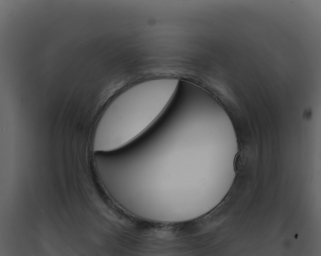 X0000091720120200708241029
