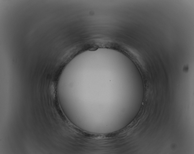 X0000091720121200708241029