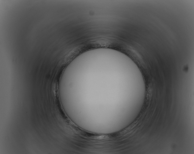 X0000091720122200708241029