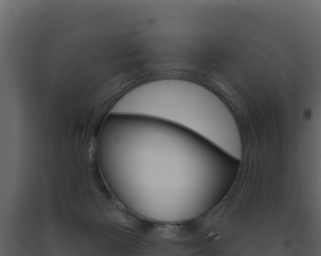 X0000091720125200708241029