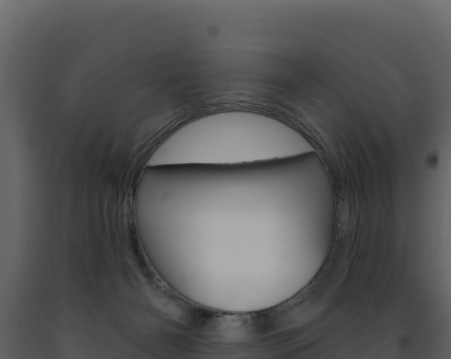 X0000091720126200708241029