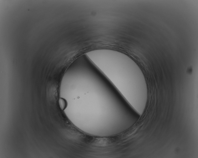 X0000091720127200708241029