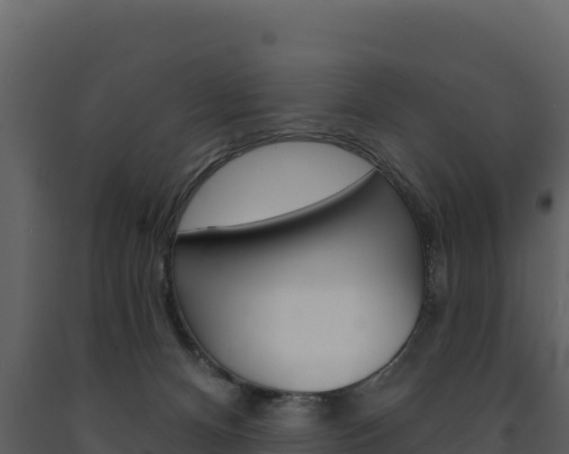 X0000091720128200708241029